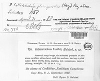 Image Associated With the Occurence